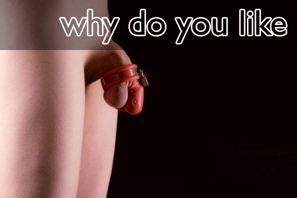 Why do you like … CHASTITY ?