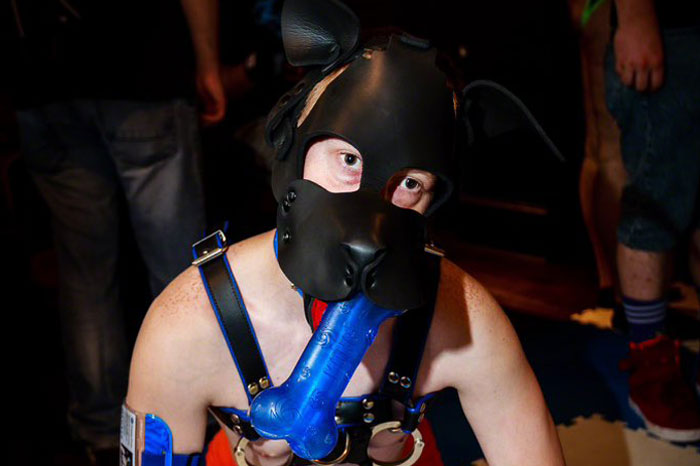 Busterpup: I just decided to be a pup and never looked back